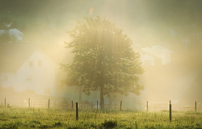 云呼网页版在线轰炸机