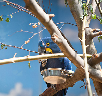 手机号轰炸机网页版