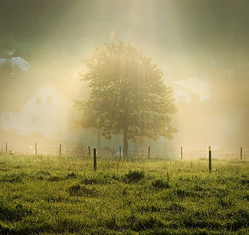 求指点轰炸软件
