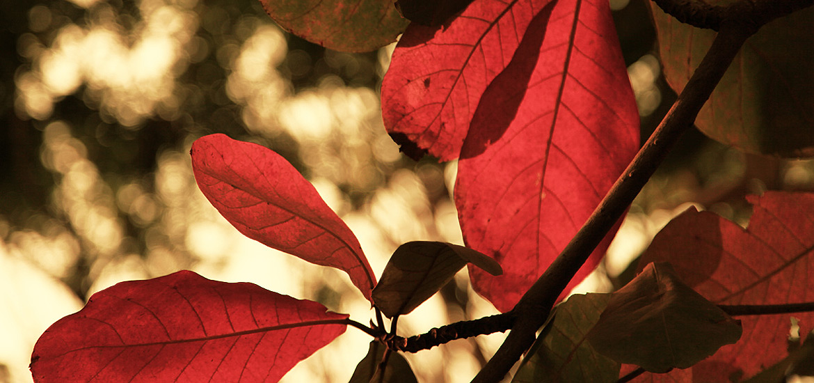 找资源轰炸软件