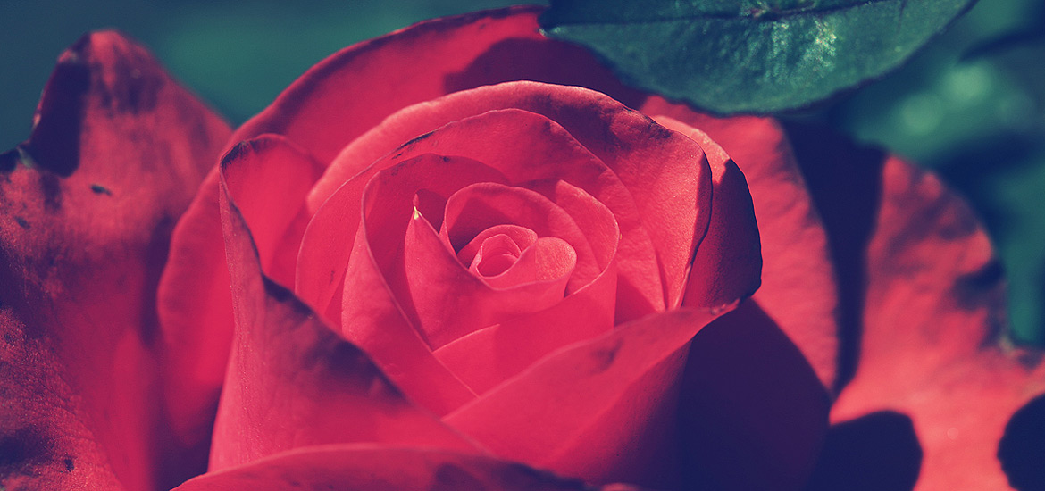 【破解补丁】免费的免费电话短信轰炸机